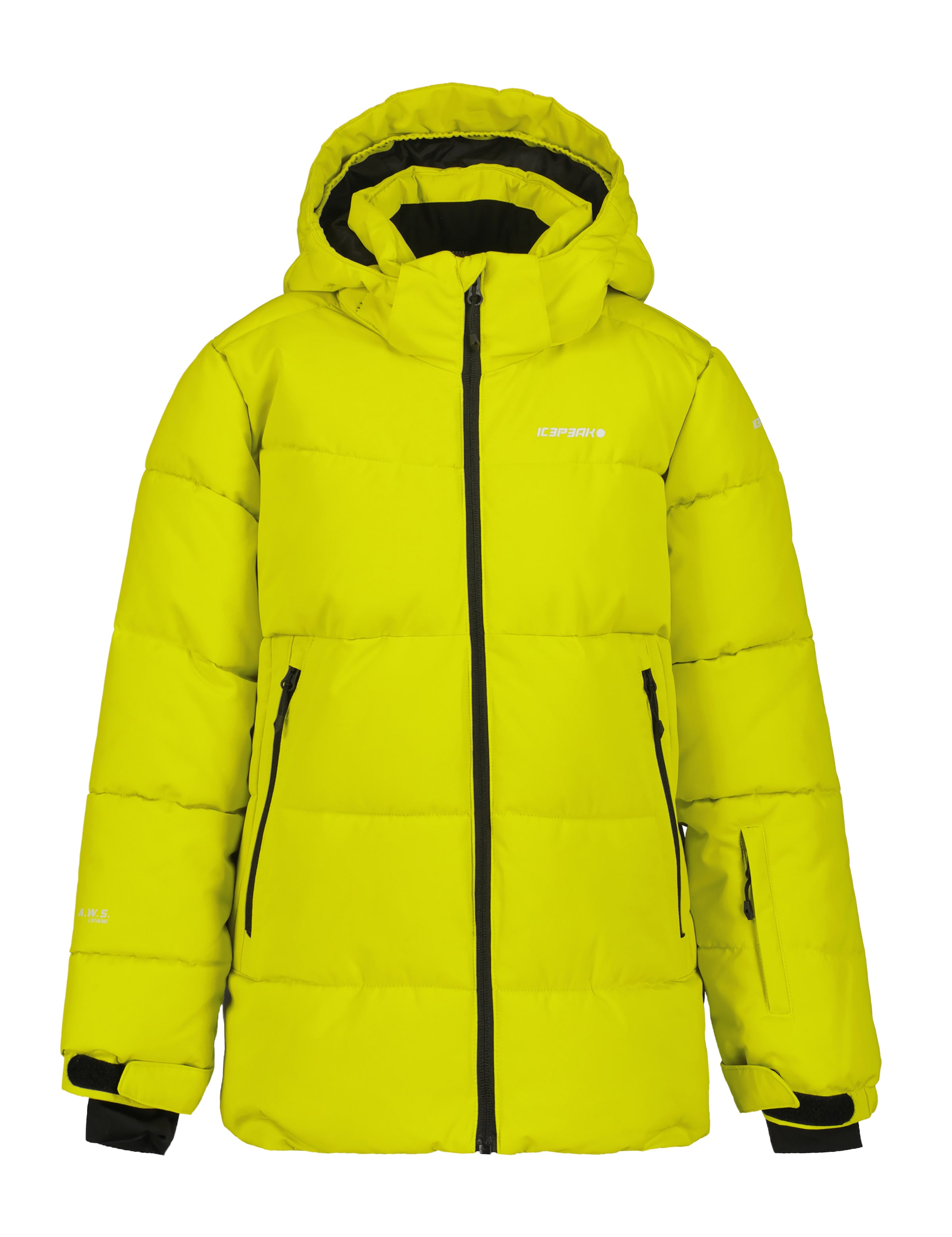 Icepeak Skijacke »LOUIN JR« 1 Stk. tlg. mit Kapuze Winterjacke mit Öffnung für Kopfhörerkabel an der Innentasche