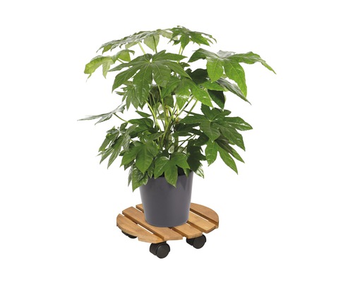 Wagner plantenwagen Ø 29 cm TK 100 kg