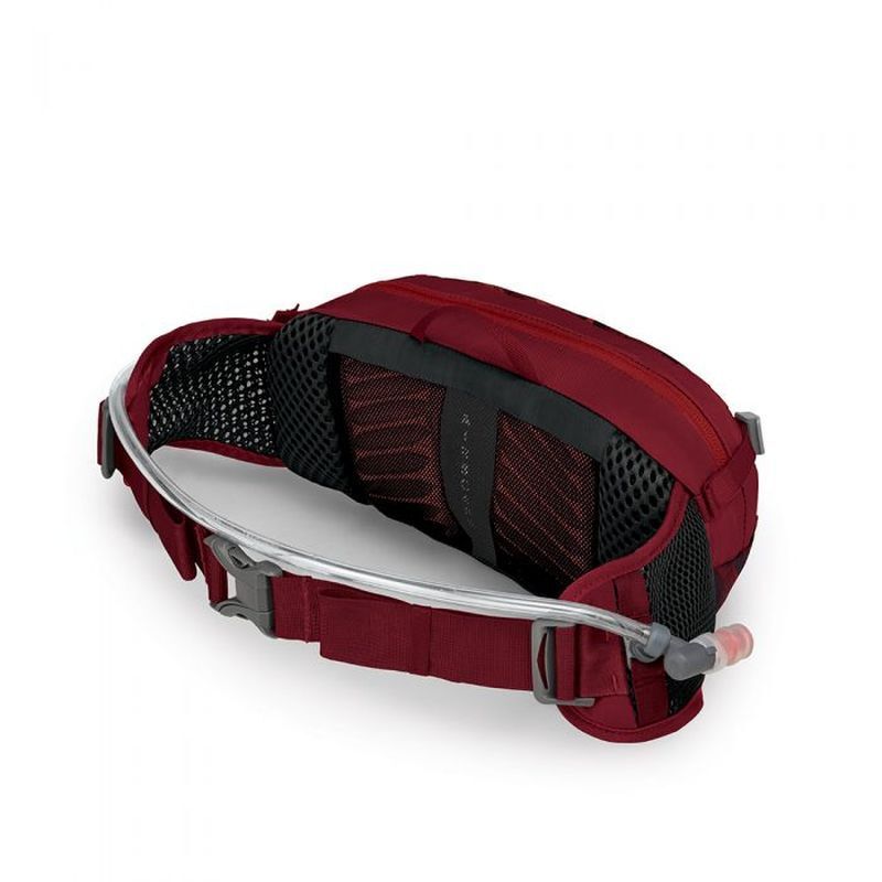 Seral 4 - Ceinture hydratation