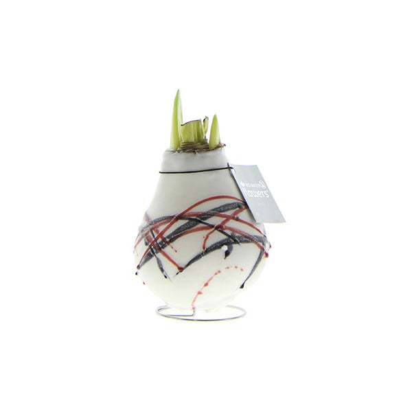 Exotic Heart - Gewaxte Amaryllisbol - Van Gogh - Ridderster - geen verzorging nodig, wit patroon
