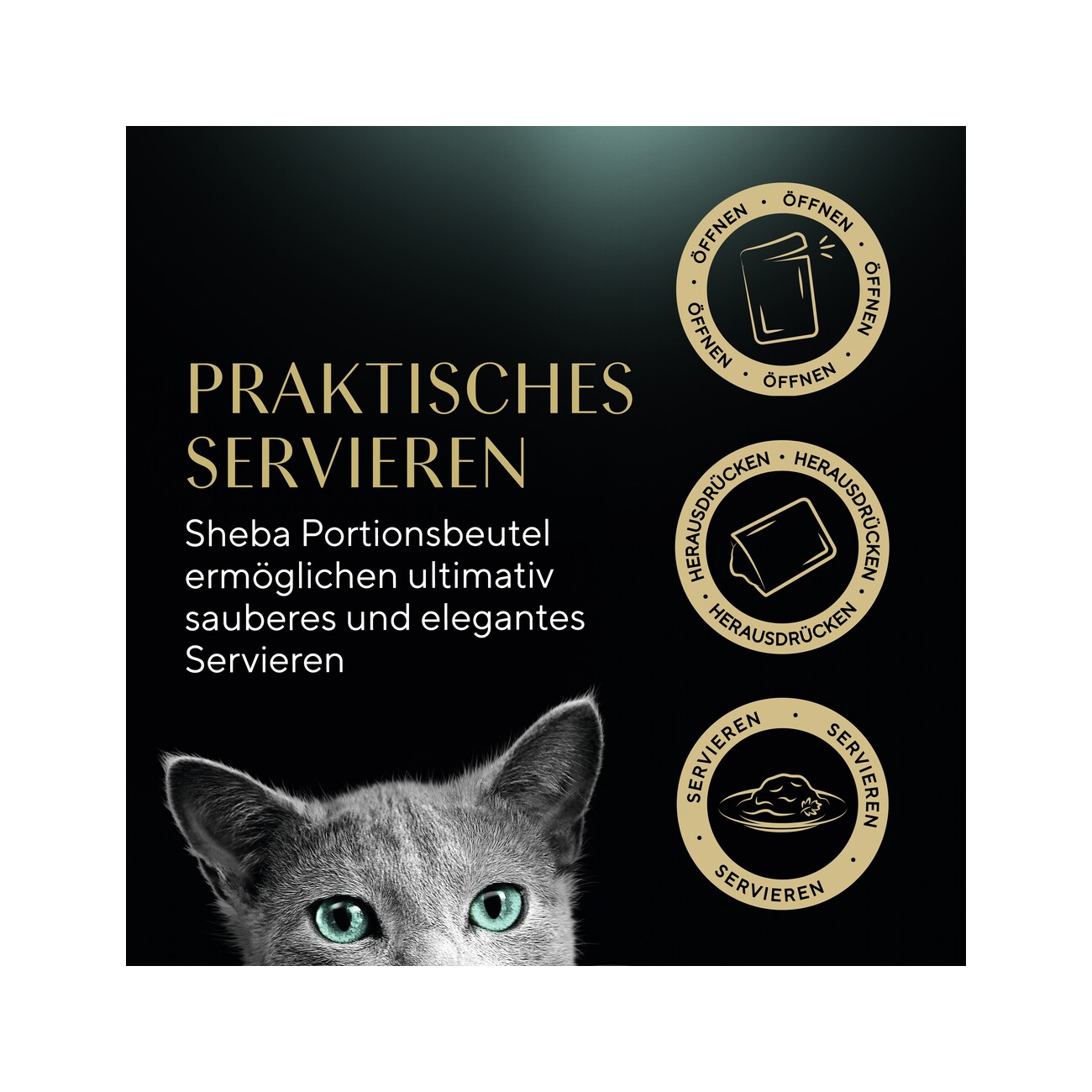 Sheba Delikatesse in Gelee 12x85g