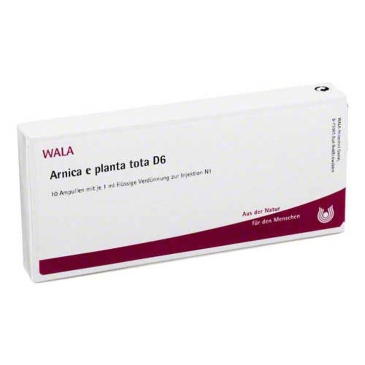 Arnica E Planta tota D6 Ampullen, 10X1 ml