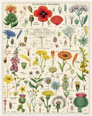 Wildflower 1000 piece jigsaw puzzle (Jigsaw)