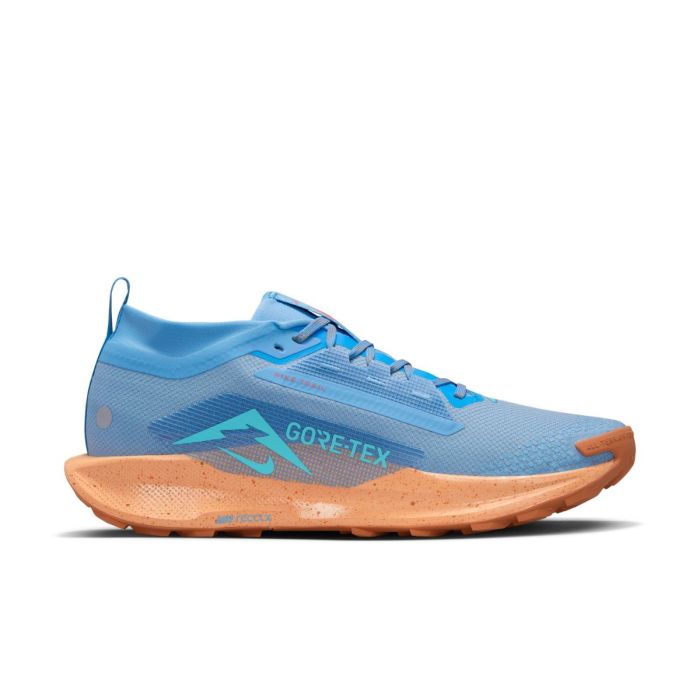 Nike Herre Trailsko Pegasus Trail 5 Gore-Tex Blå