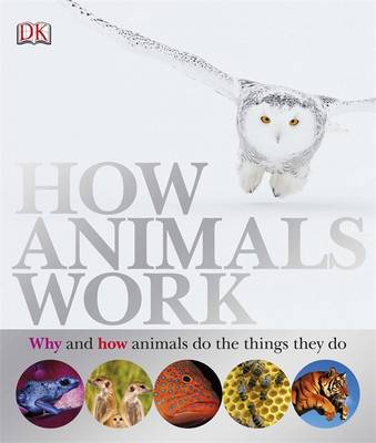 How Animals Work (Hardback)