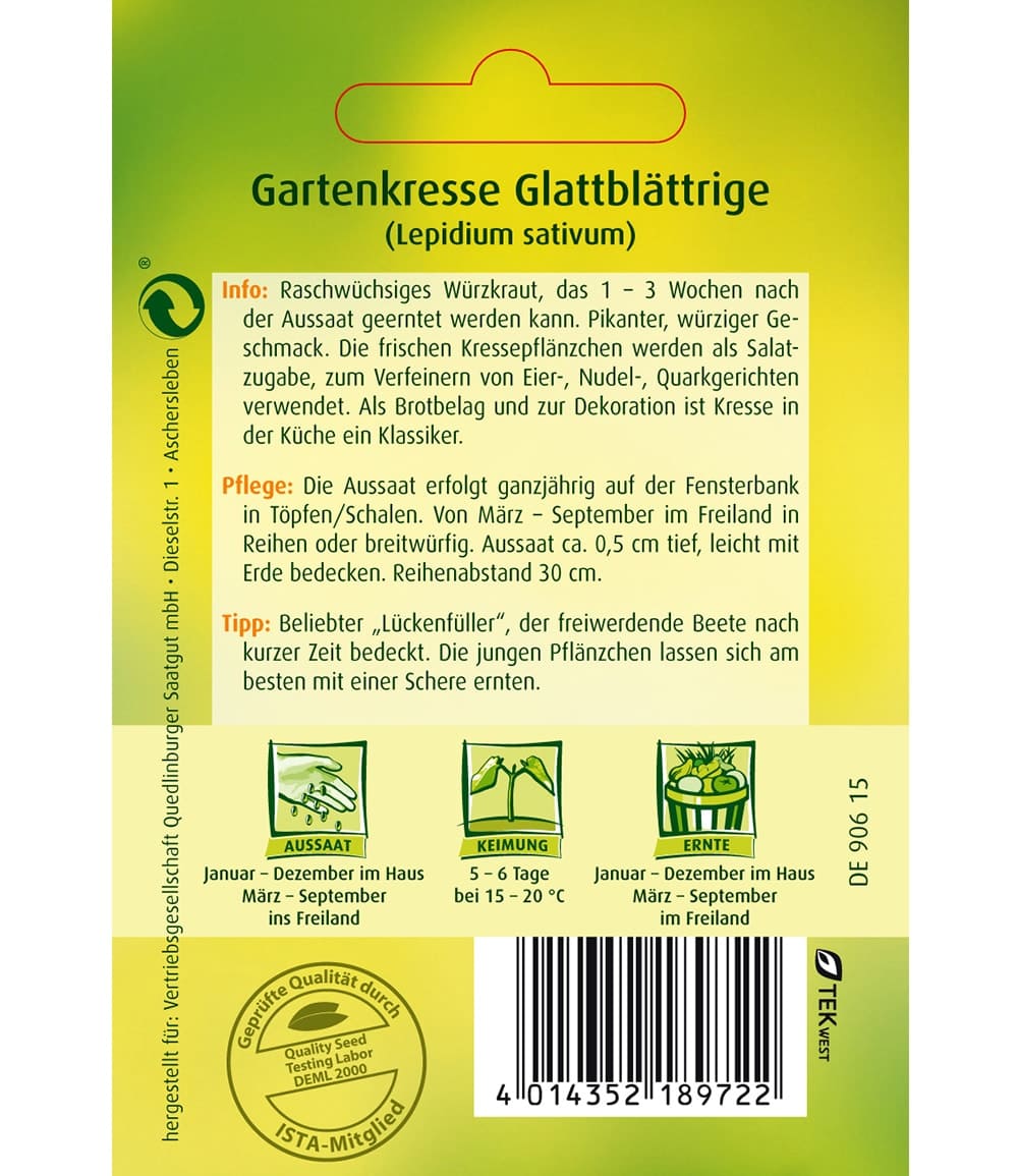 Gartenkresse, glattblättrige