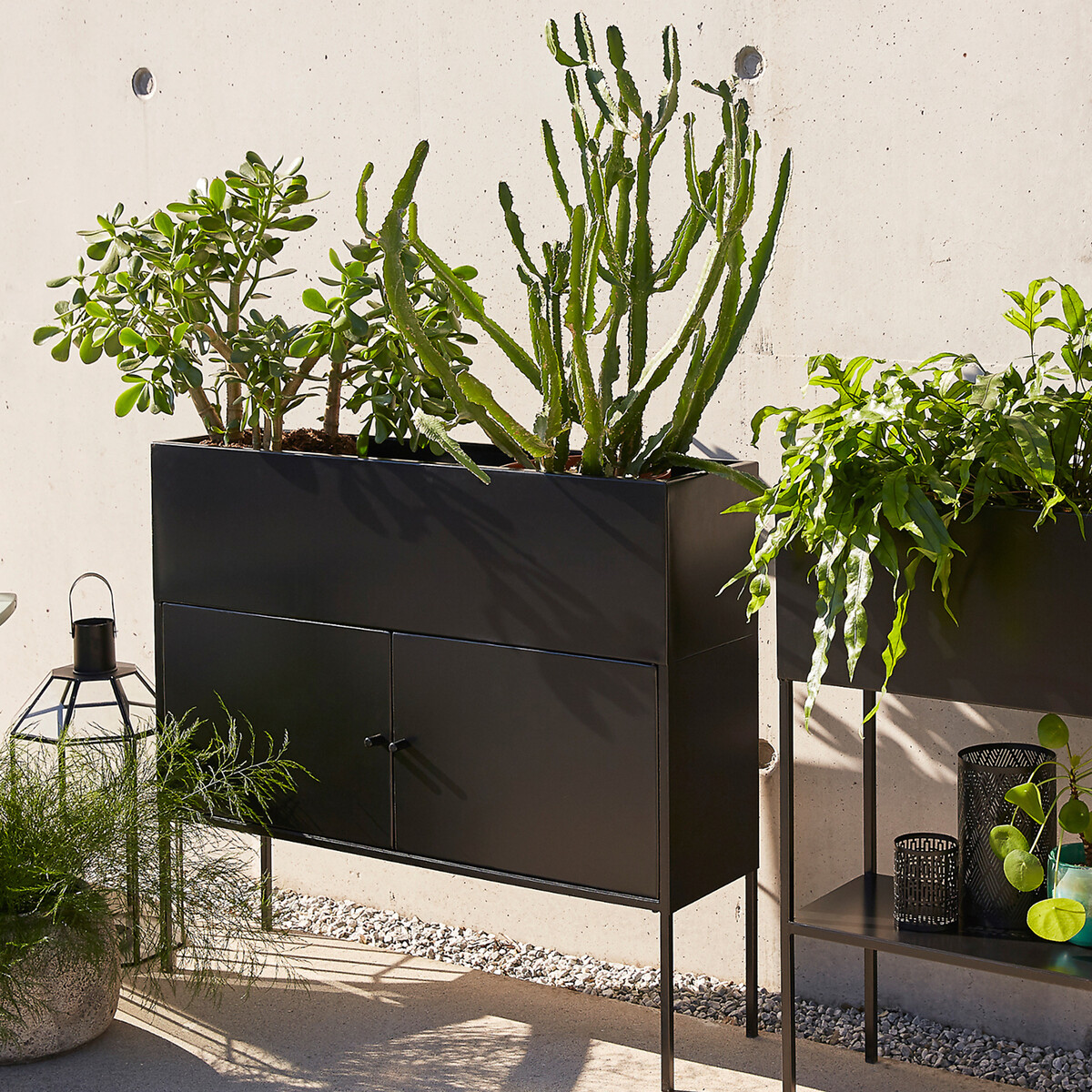 AM.PM<br>Planteira de ferro, Consuela