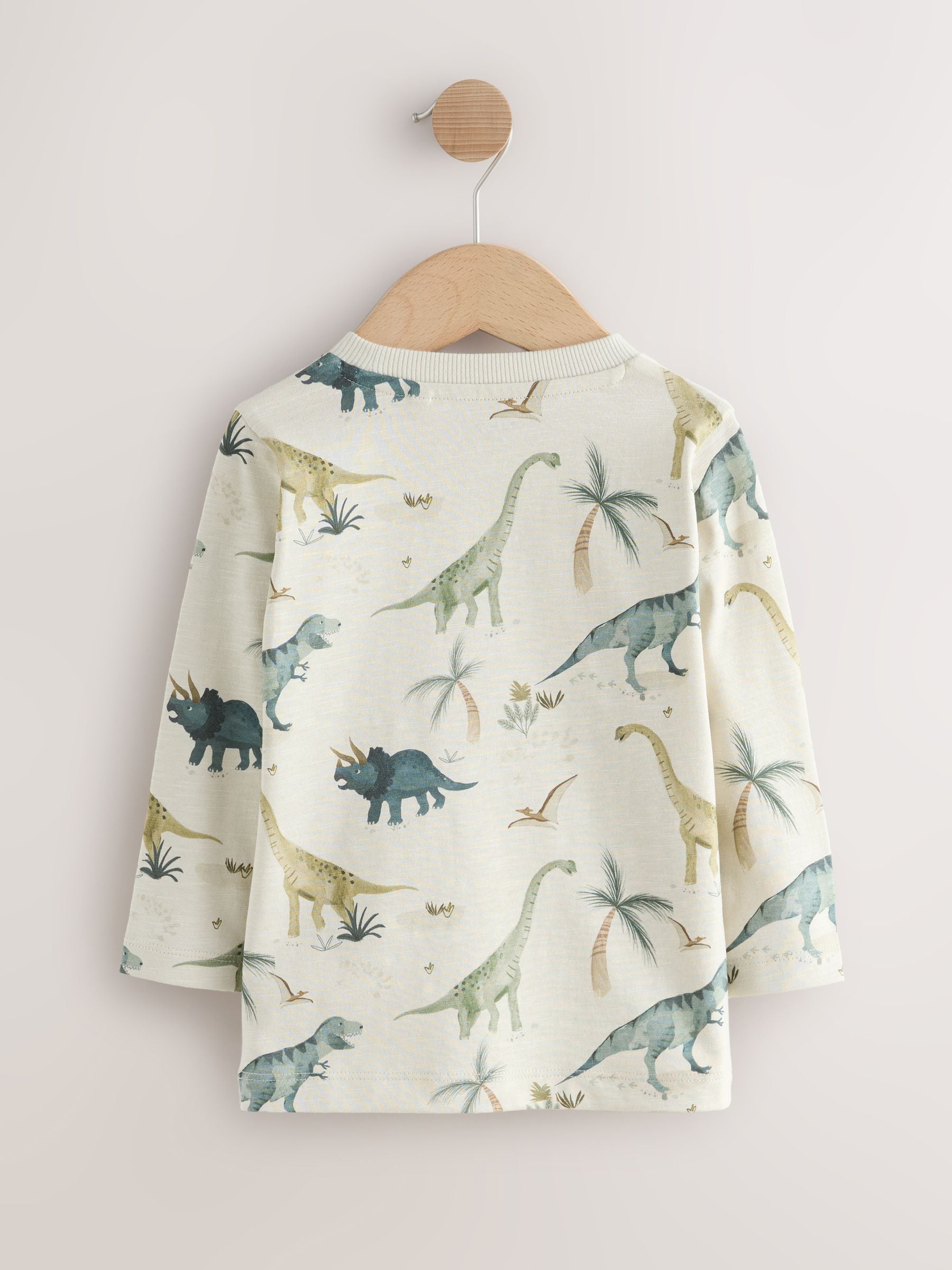 Mineraalkleurig aquarel met dinosaurus - Set van 3 T-shirts met grafische print en lange mouwen (3mnd-7jr)
