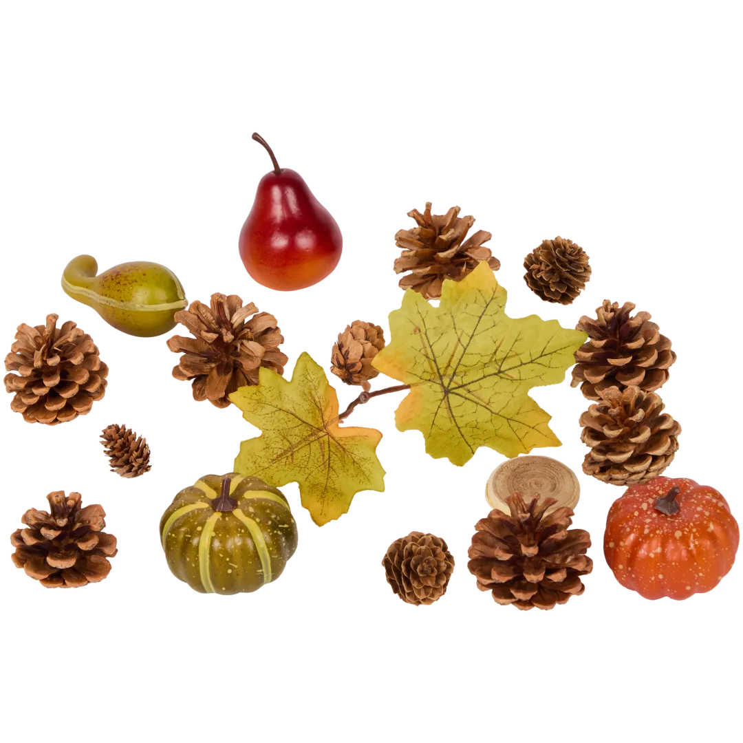 Mélange de décoration d’automne