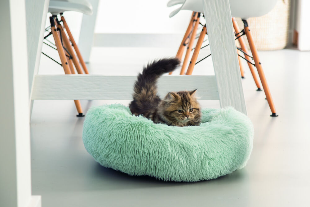 Beeztees Vako Pluche - Kattenmand - Blauw mint - 18x50x50 cm