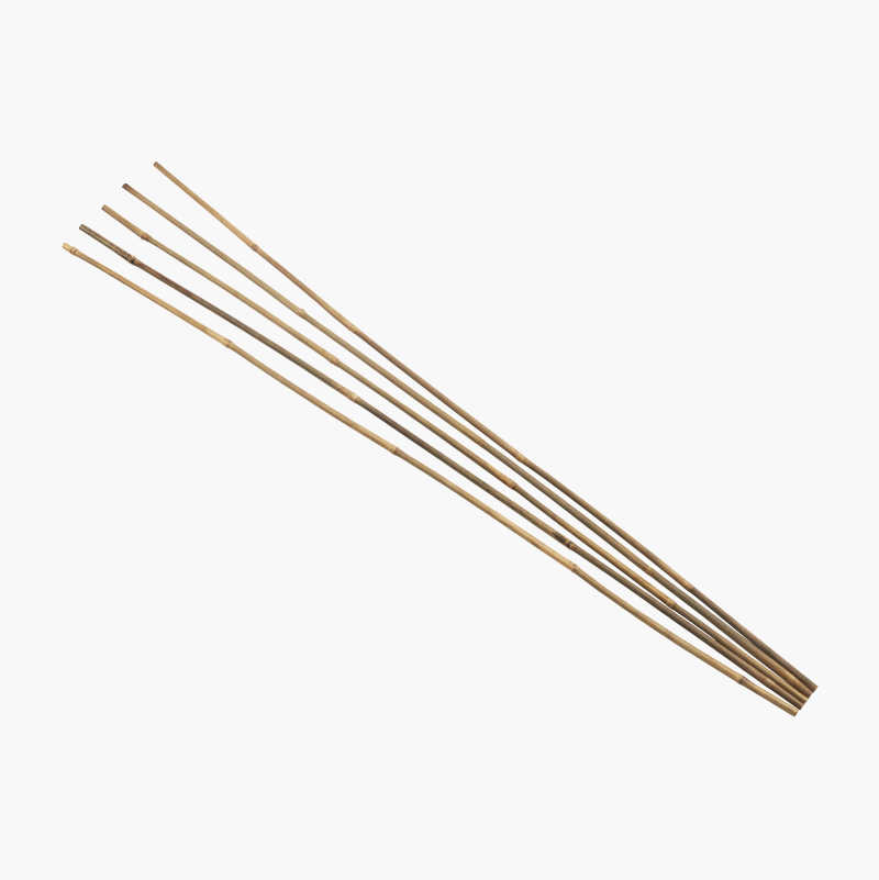 Bambuspinne, 1 m