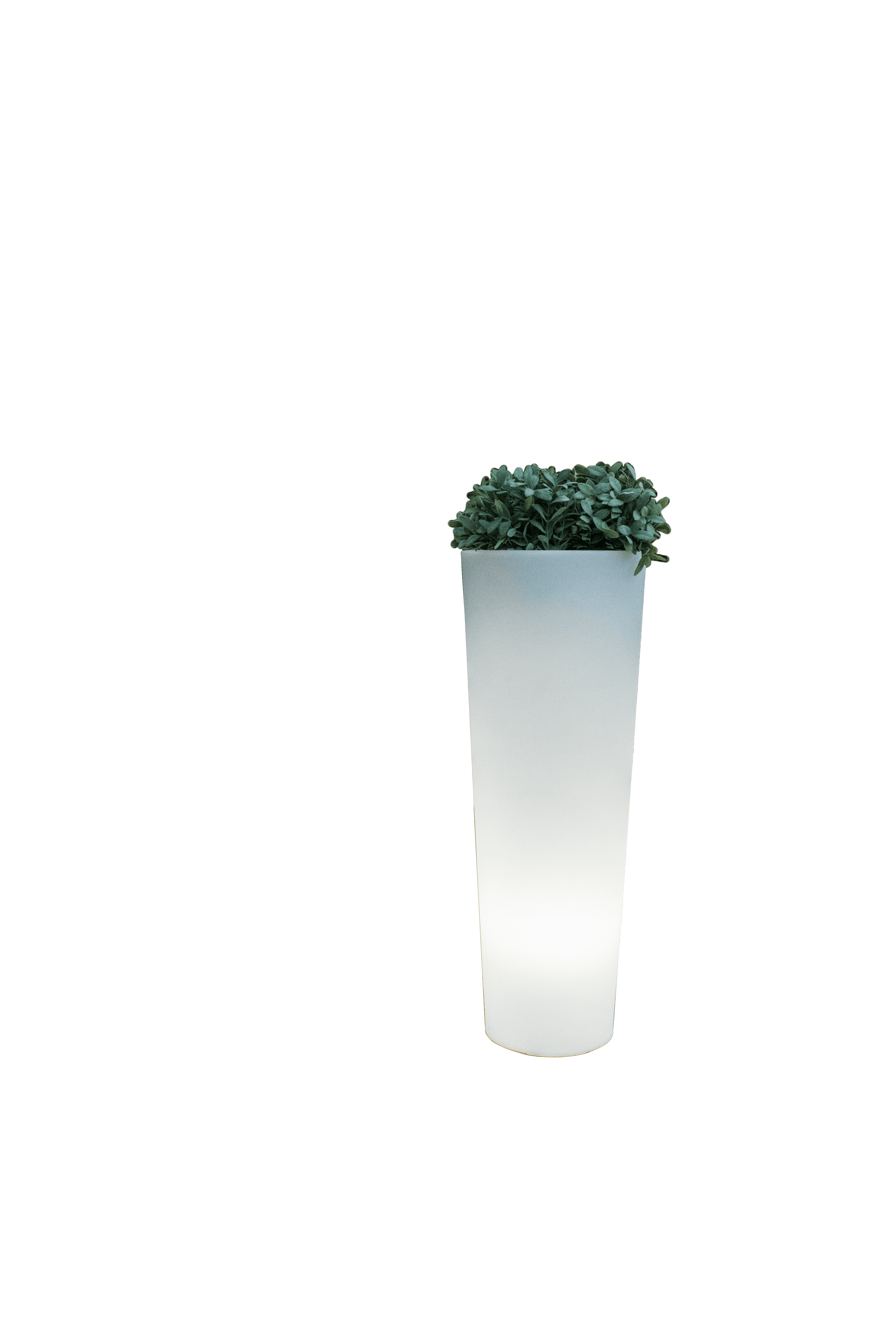 Pot lumineux ficus 80 solaire+batterie rechargeable led rgb avec télécommande ø29x79cm