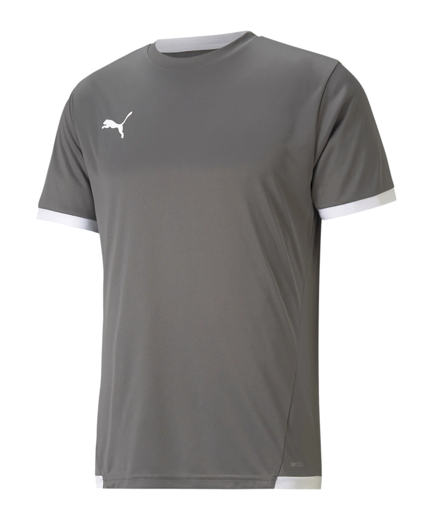 PUMA teamLIGA Trikot Grau F13