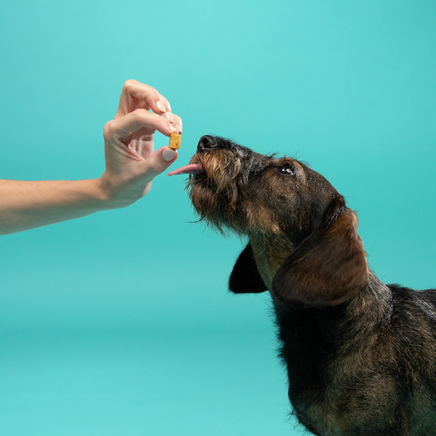 Petiscos para cães Edgard & Cooper Mini com sabor de peru e frango