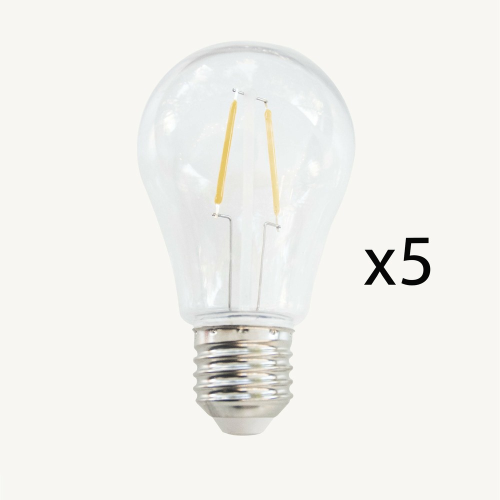 Pack de 5 ampoules e27 led blanc chaud - type guinguette a60 - 2w - chromex