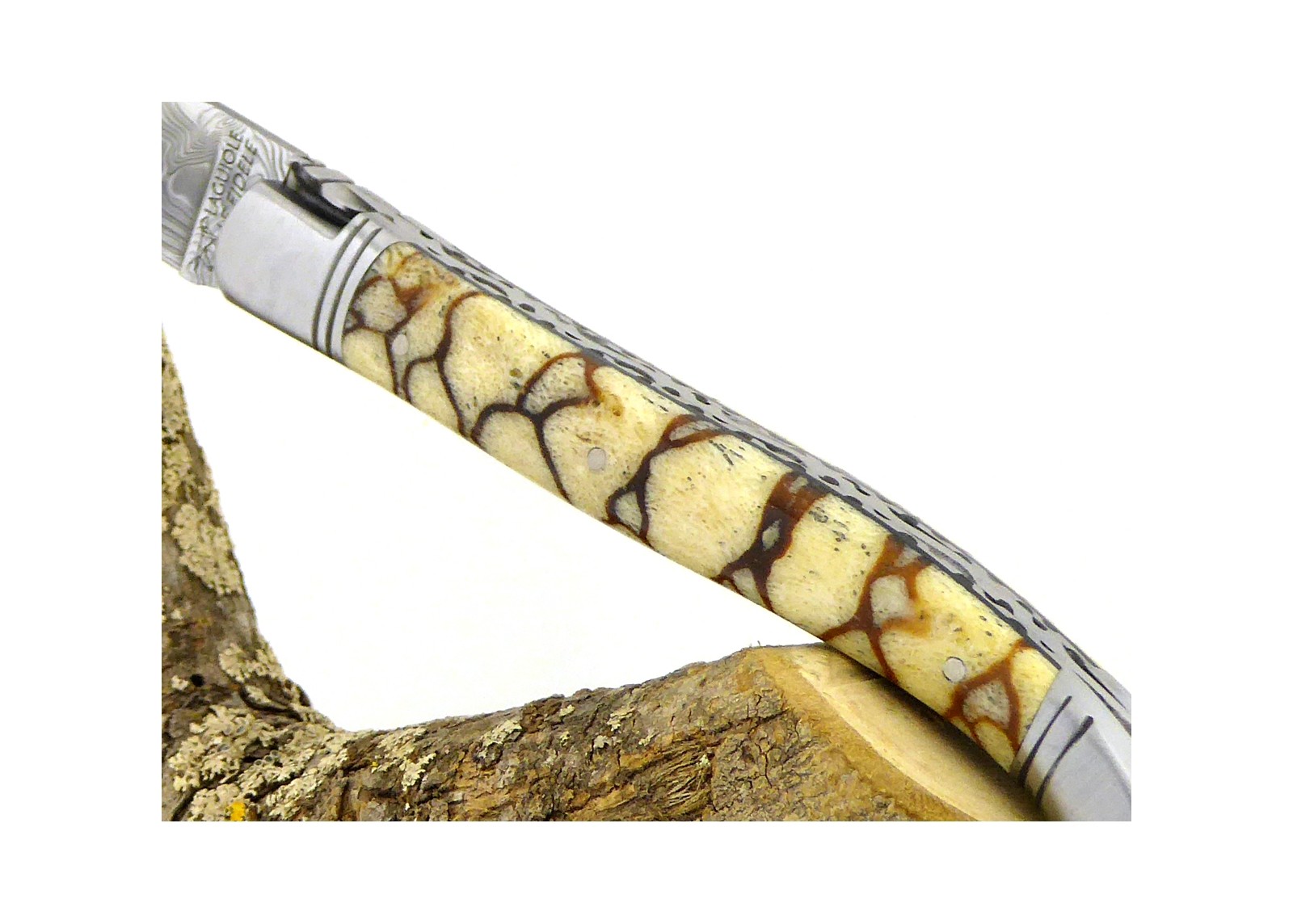 VENDU - Couteau Laguiole avec un manche en corail Fossile Tigré et une lame Damas