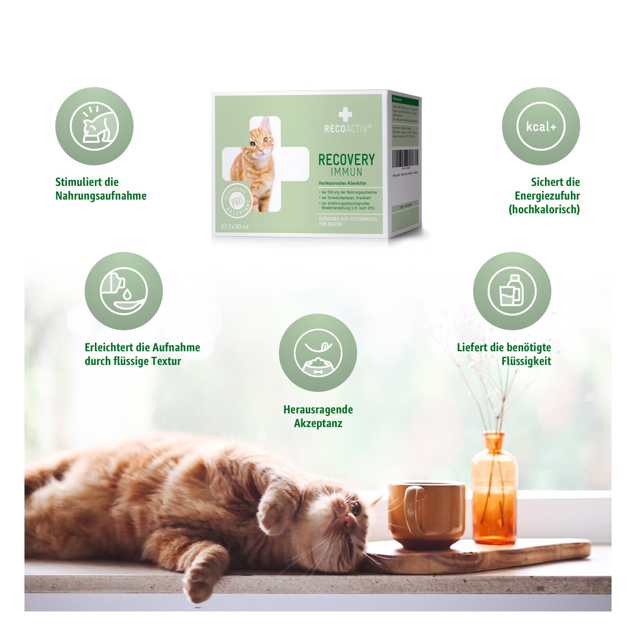 RECOACTIV ® Recovery Immun Tonicum 280 ml