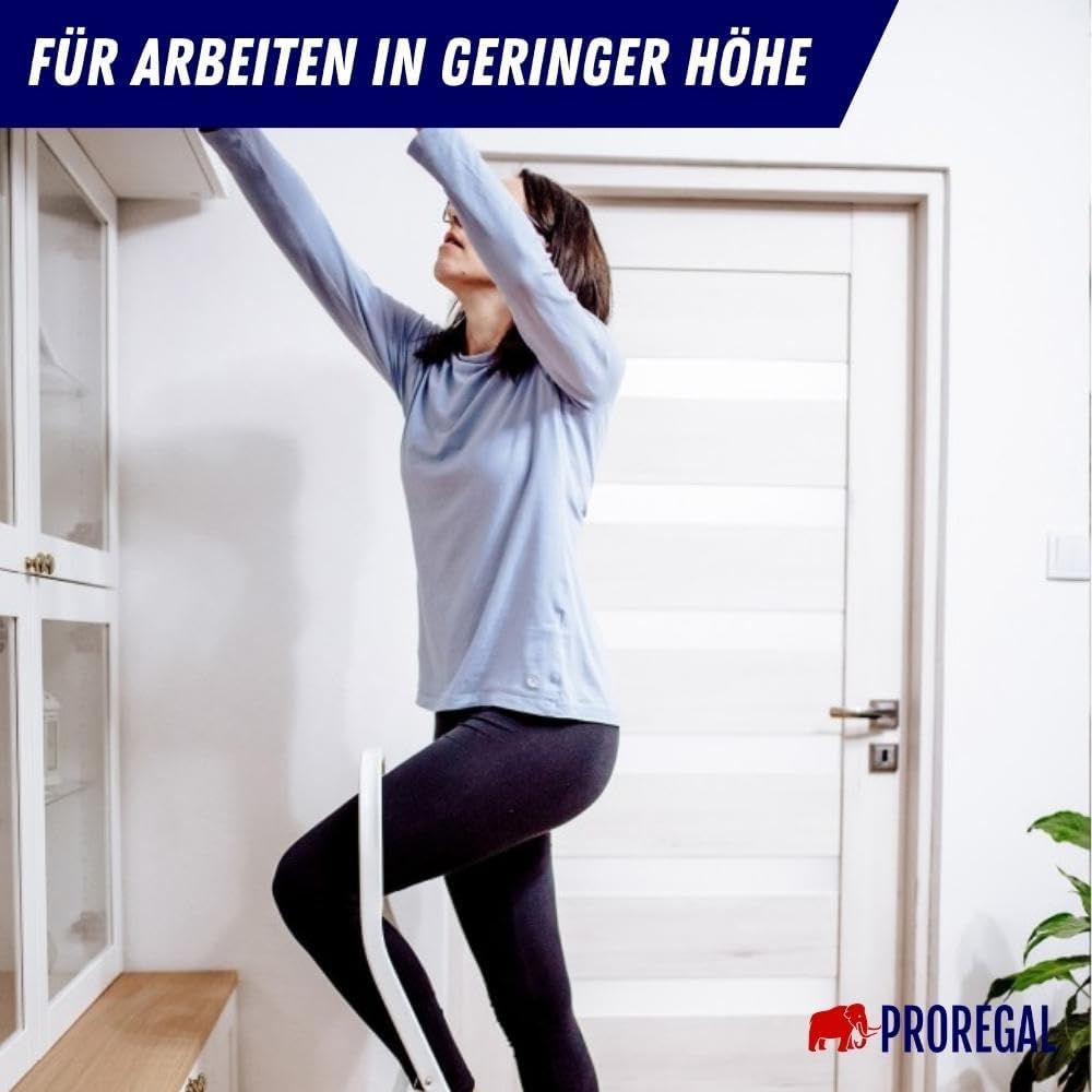 PROREGAL Vouwladder Economy Basic, eenzijdig toegankelijk, 2 treden, werkhoogte 2,46 m, draagvermogen 150 kg