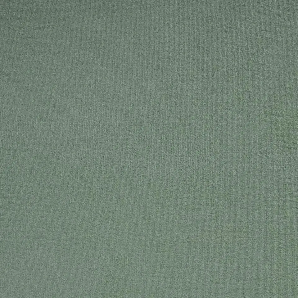 AMBILLOU - Tweepersoonsbed - Groen - 120 x 200 cm - Fluweel