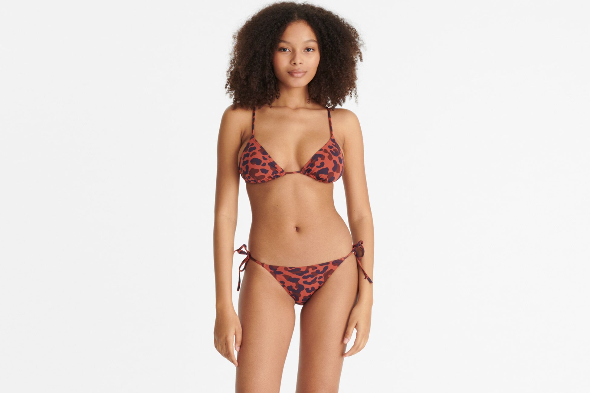 Cyprae Petit triangle IMP COQUILLAG ETE INDIEN