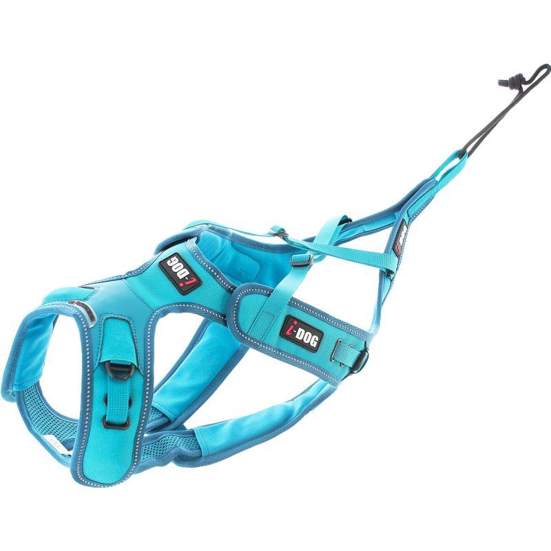 X-Back Phoenix ALM - Harnais pour chien