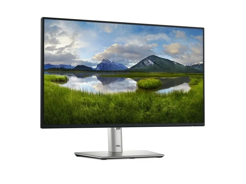 Dell P2425H - LED-skærm - 24