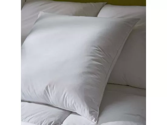 BELLECOUR LITERIE | Lot de 2 oreillers 60x60 cm LUXOTEL | Fibres creuses