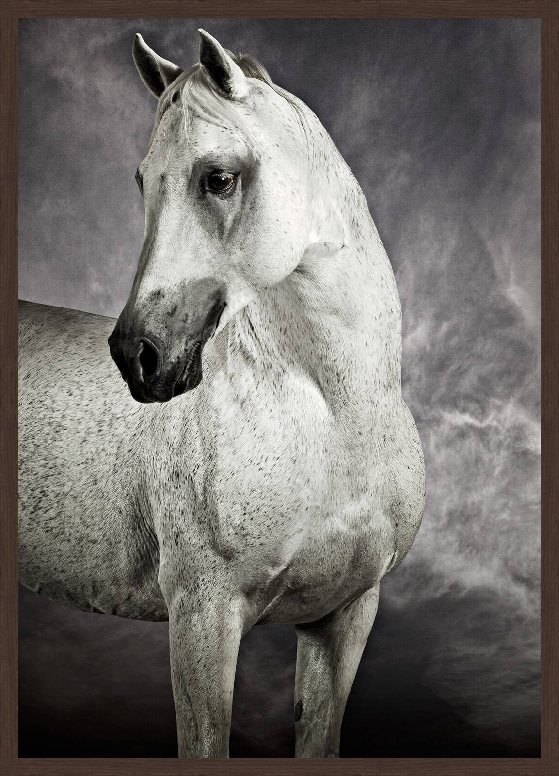 Arabian Racing Stallion by Tariq Dajani - Limited Edition. Edition of: 100. Signed.