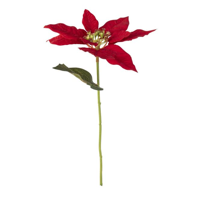 Weihnachtsstern - ca. 30 cm - rot