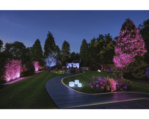 Paulmann Plug & Shine LED-strip Smarter Single Strip 1200 LED's 1400 lm 3000-6500 K RGBW+ Kleurverandering IP67 230/24 V 10 m
