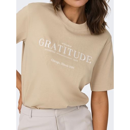 JDY Penny T-shirt, Irish Cream, XS