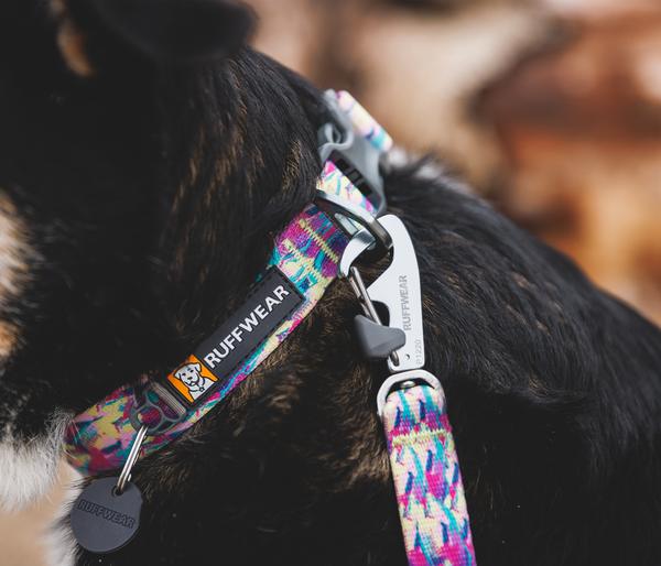 RUFFWEAR® Hundehalsband Front Range™,