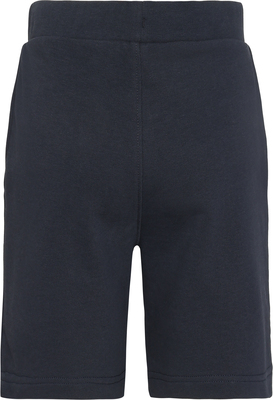 Didriksons Fejan Shorts, Navy