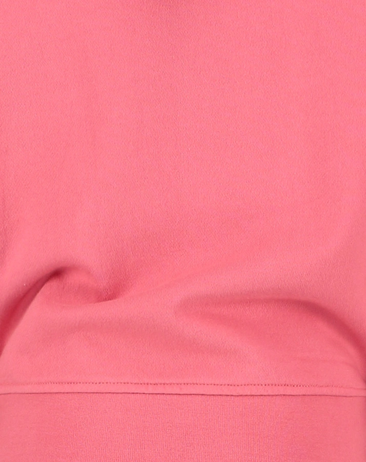 Kapuzen-Sweatshirt G-BASIC in charm peach