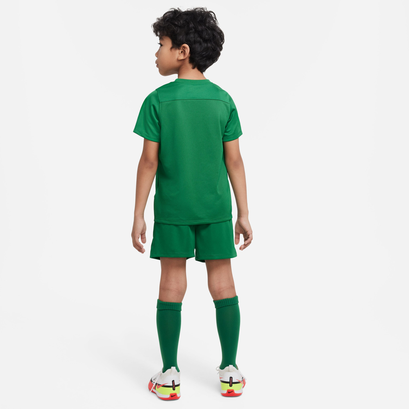Nike DRY PARK 20 Tenue Kids Groen