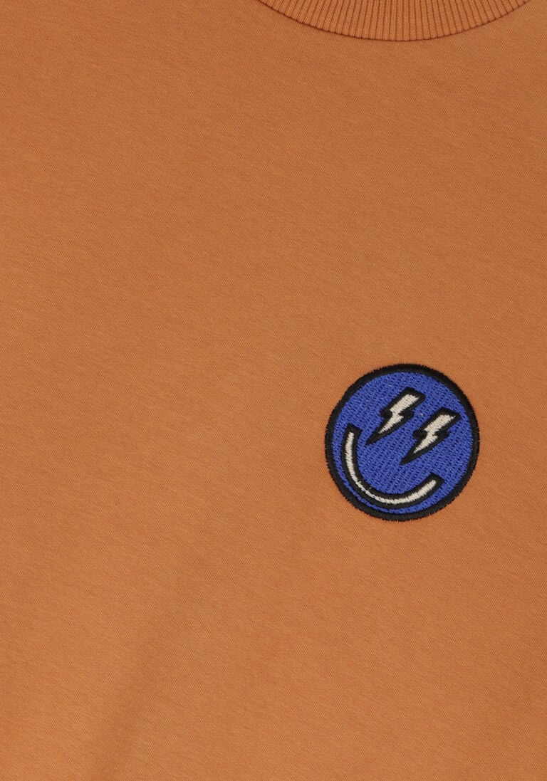 CARLIJNQ cognac carlijnq t-shirt smilies - sweater short sleeve wt embroidery