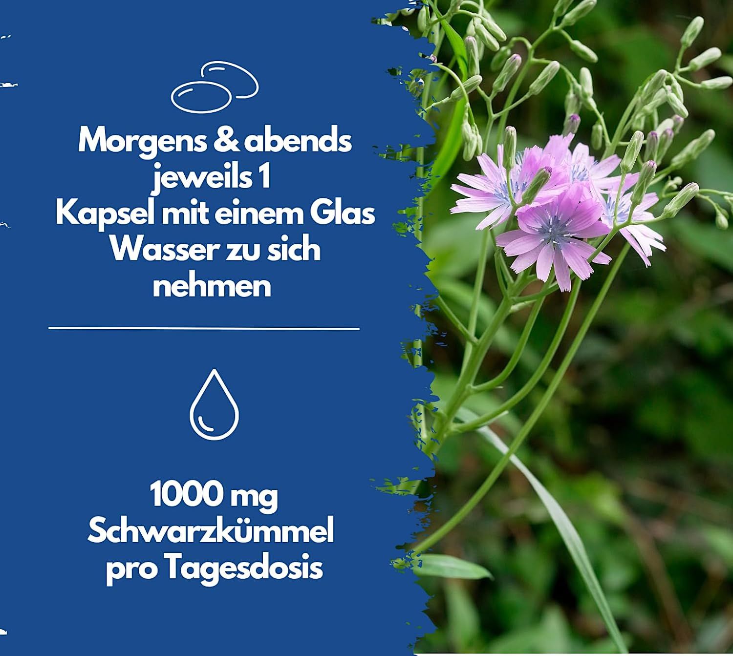 EXVital® Schwarzkümmelöl Kapseln, aus ägyptischen Anbau