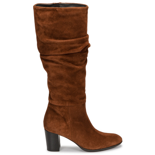Fericelli - NEIGNET - Camel