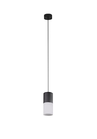 TRIO Retrofit Pendelleuchte ROBIN X 1-flg schwarz