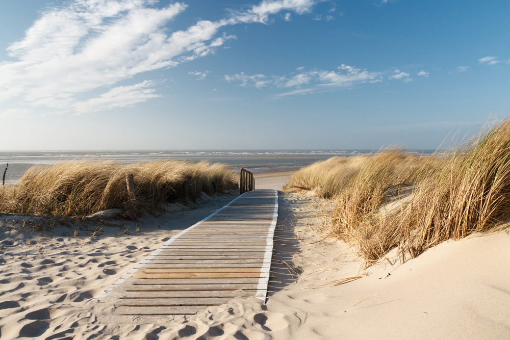 Akustikbild HOLZWEG ZUM MEER 1 80x120cm, 7kg