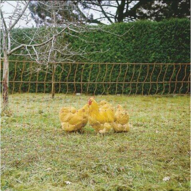 Filet poules 50 m simple pointe AKO orange électrifiable Hauteur 112 cm