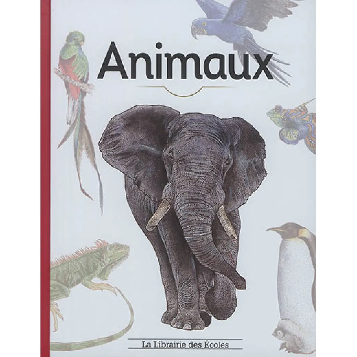 Animaux · Occasion