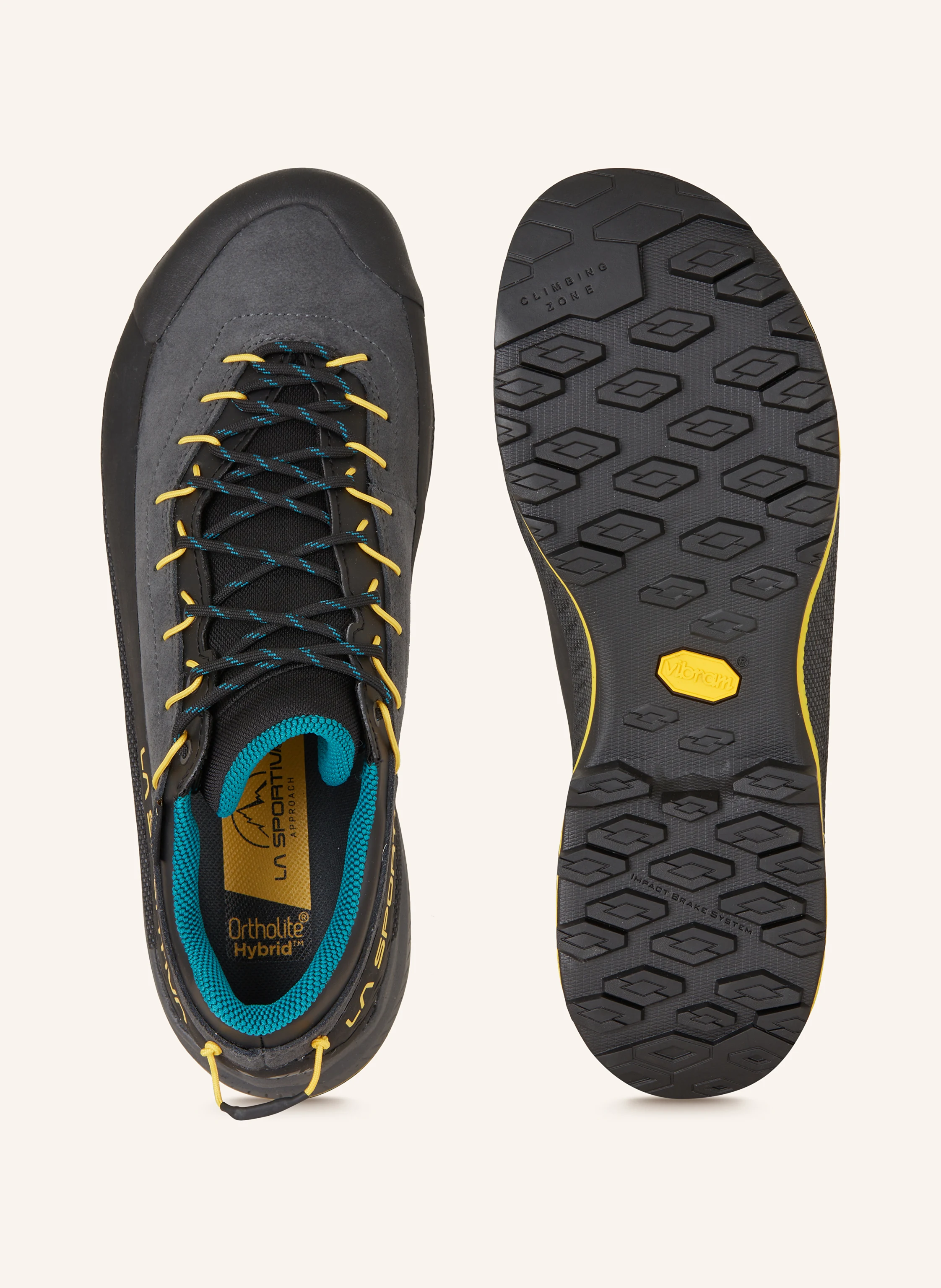 LA SPORTIVA Wanderschuhe TX4 EVO GTX