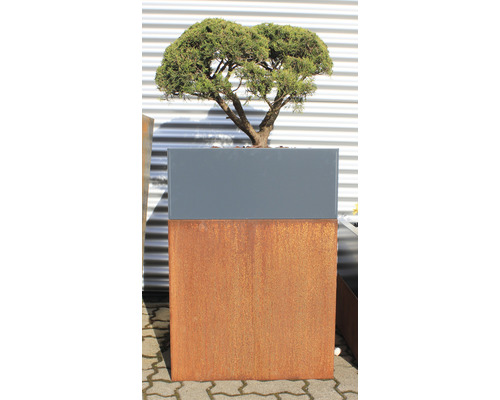 Palatino Carlotta metalen plantenstandaard, 100 x 40 x 25 cm, antraciet