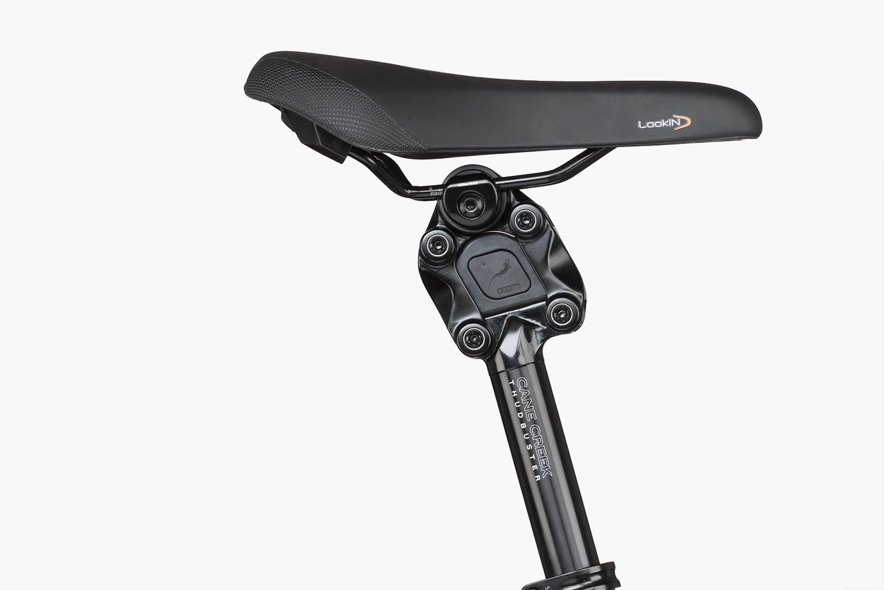 Riese & Müller Charger4 Mixte Vario - Kiox 300 - 750 Wh