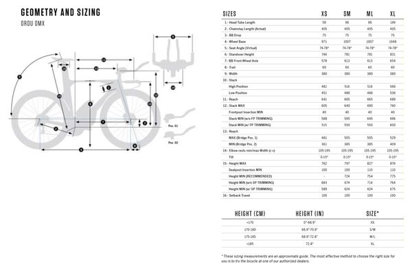 Vélo de Triathlon Orbea Ordu M20iLTD Shimano Ultegra Di2 12V 700 mm Bleu Carbon View Moondust 2024