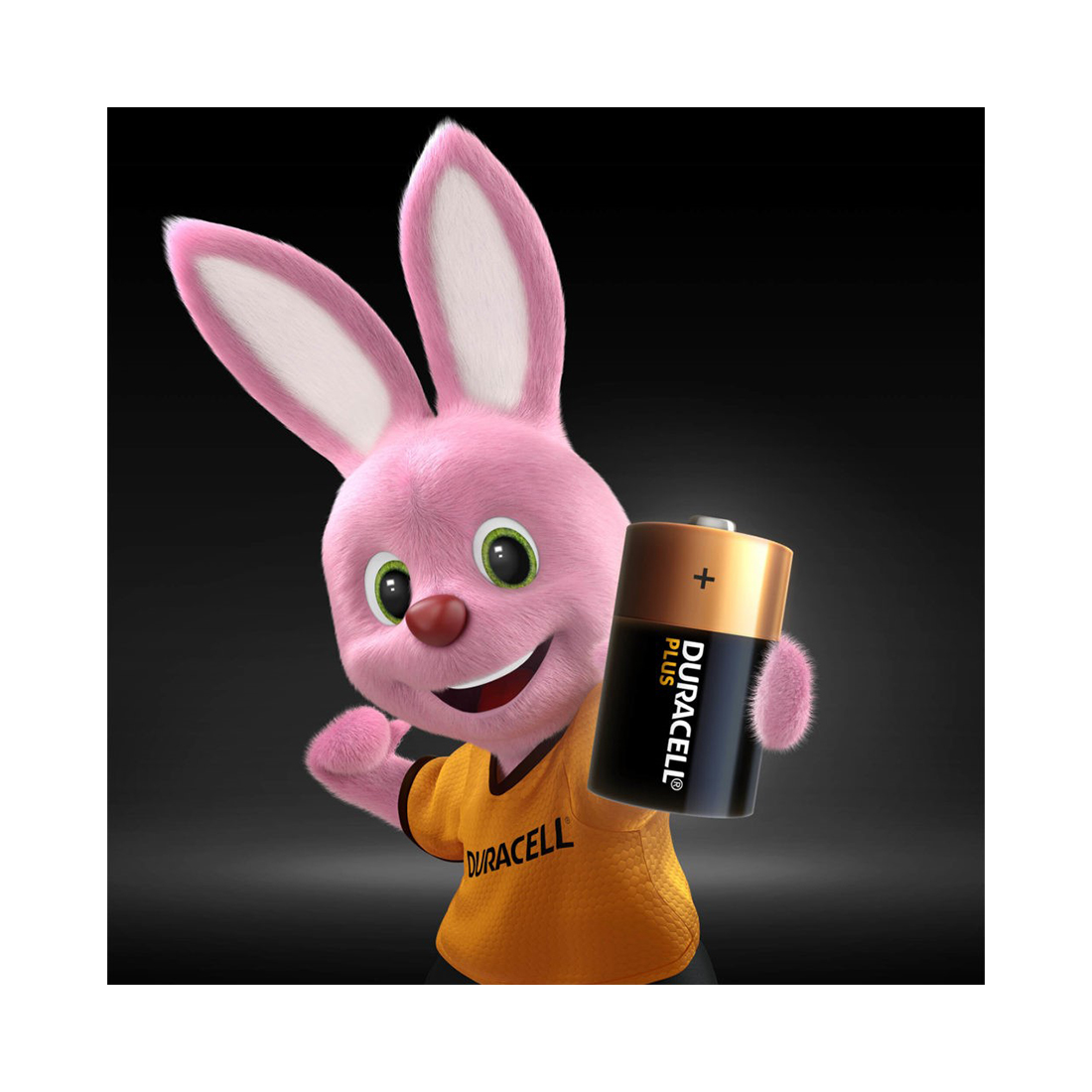 Duracell Plus Power LR20/D 2 Stk.