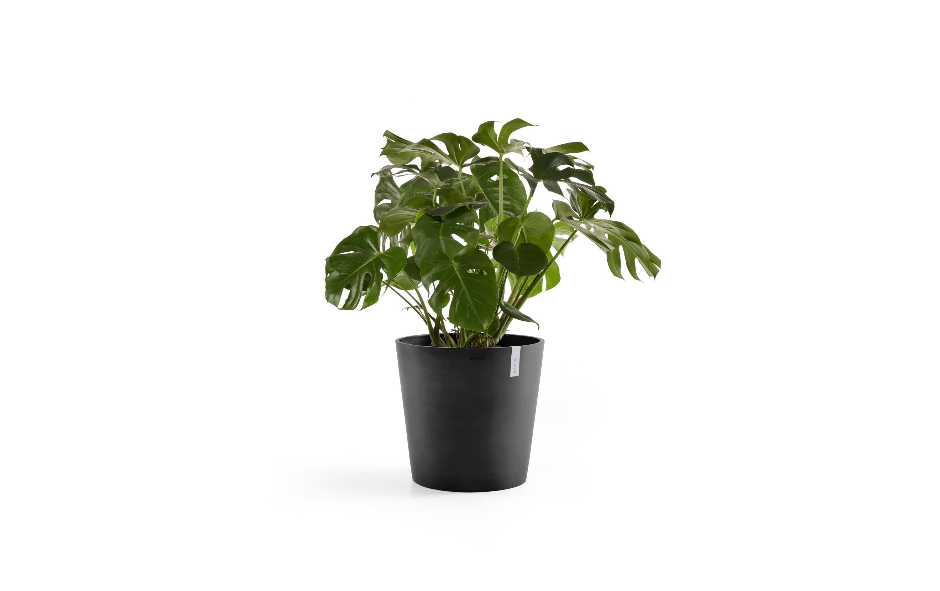 Pflanzentopf Amsterdam 50, DunkelgrauRobuster und langlebiger Blumentopf