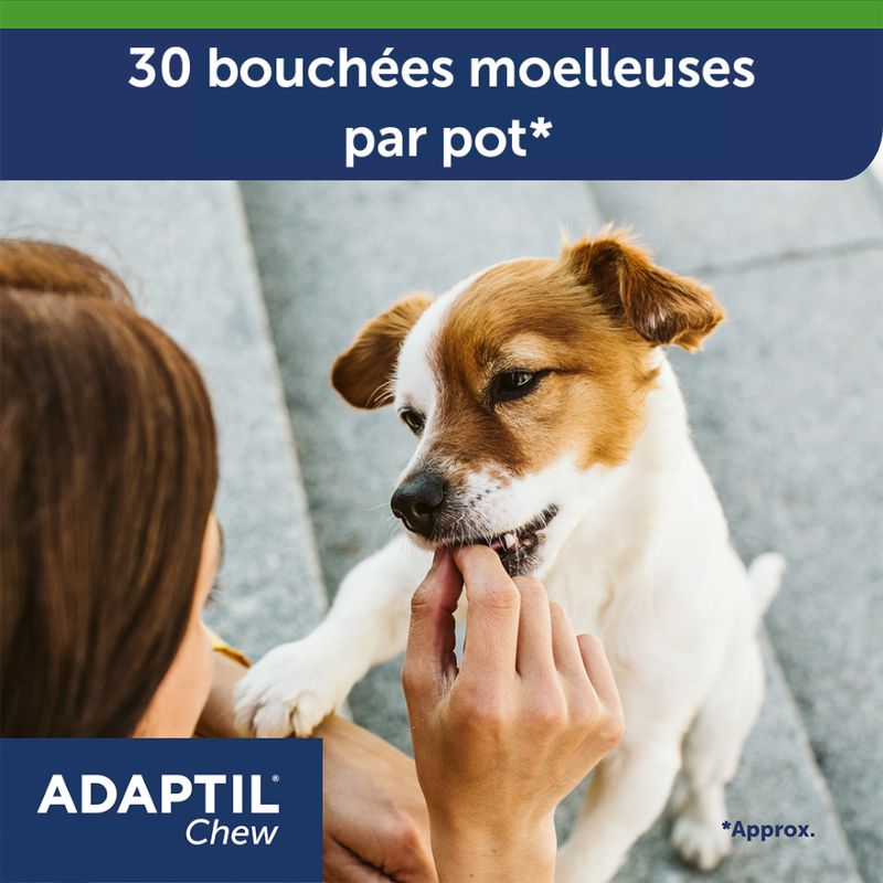 ADAPTIL Chew