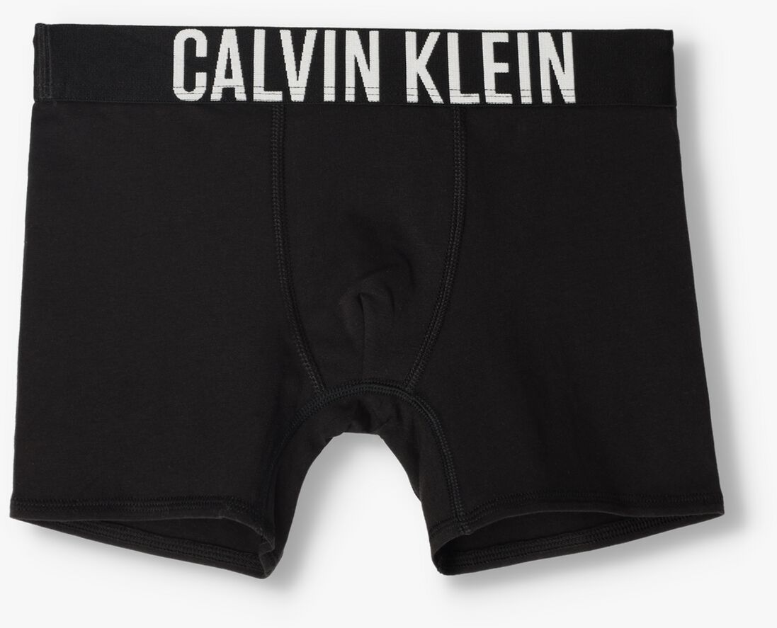 CALVIN KLEIN UNDERWEAR multi calvin klein underwear boxershort 2pk boxer brief